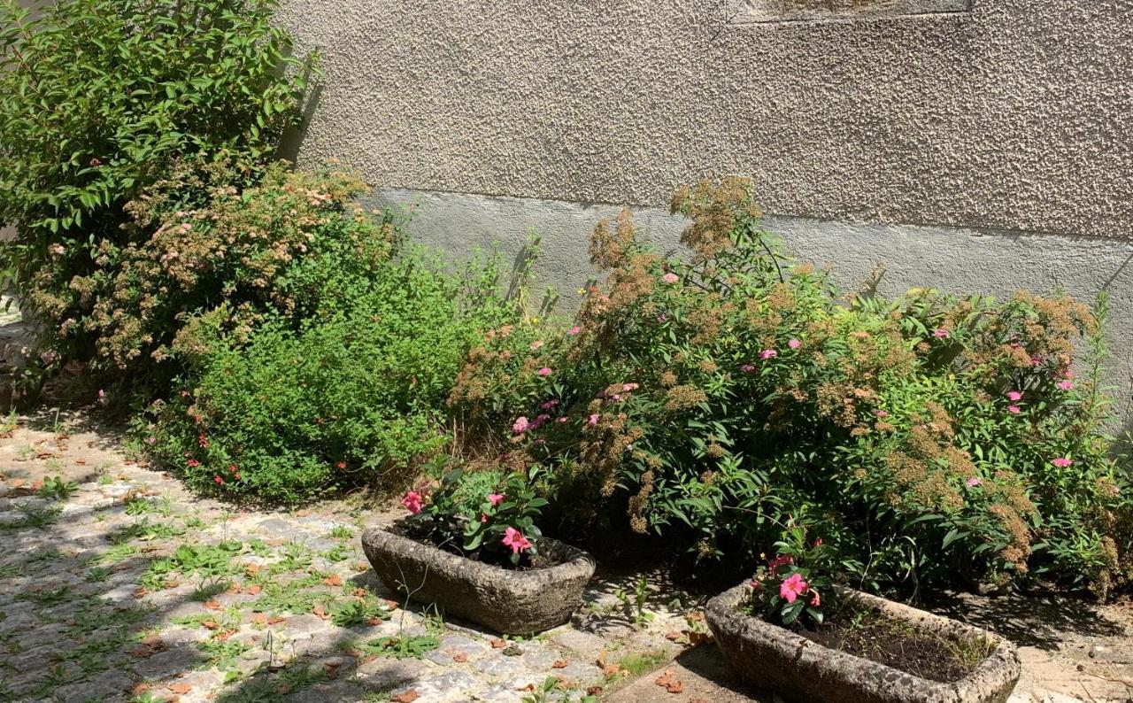 La Cour Pavee, T2 Lumineux, Cosy, Confort 55 M2 Saint-Léonard-de-Noblat Eksteriør bilde